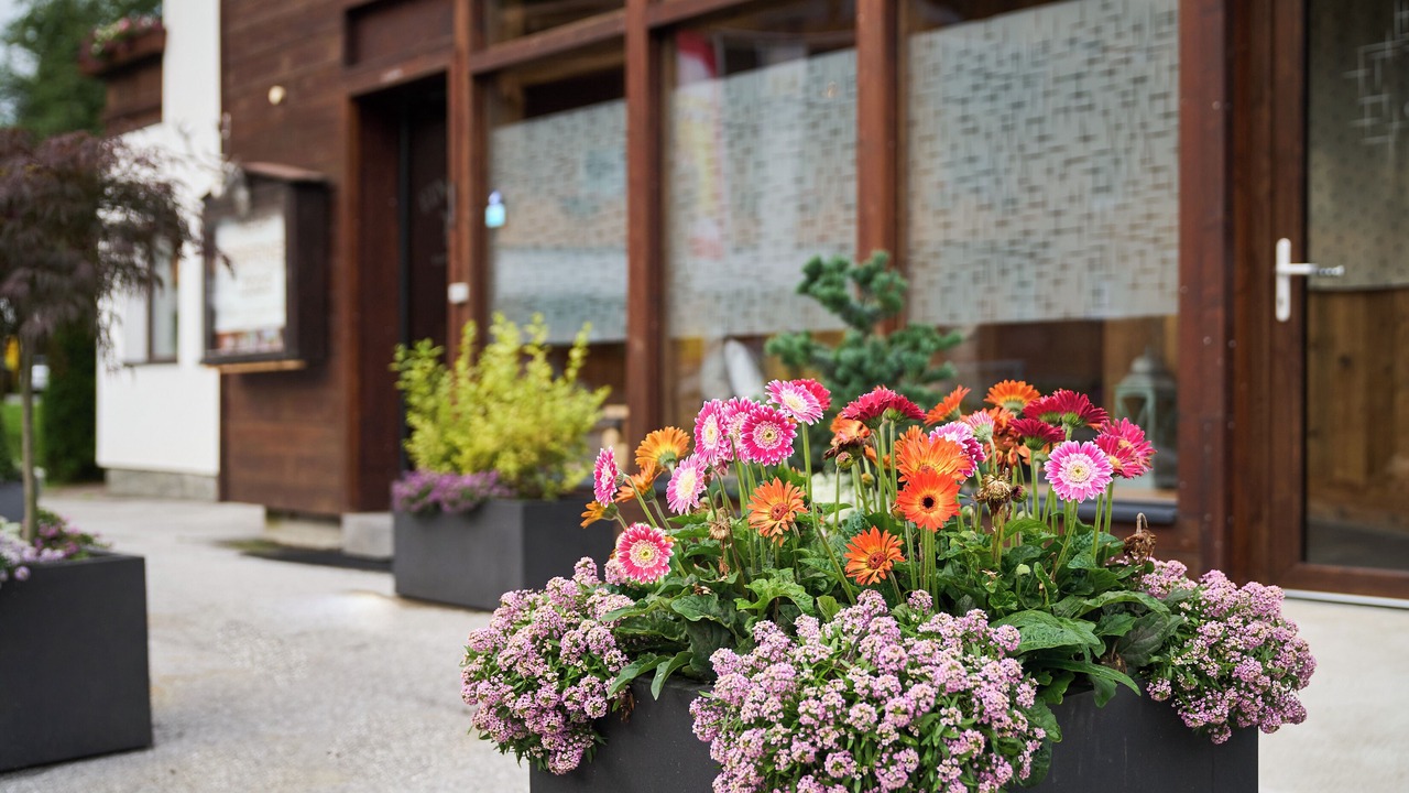 Photo of Patio Balcony in Weidach