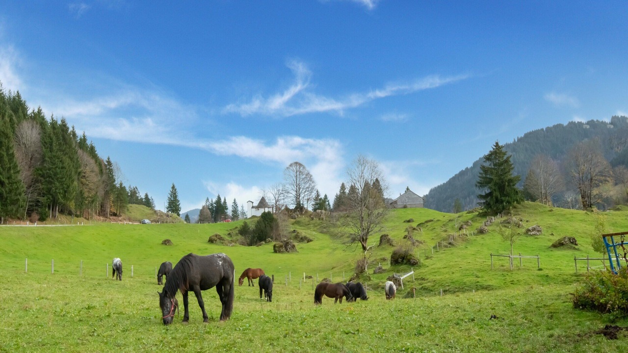 Photo of Others in Sibratsgfaell