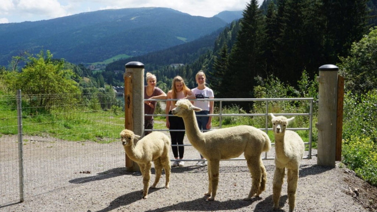 Photo of Others in Sankt Georgen am Kreischberg