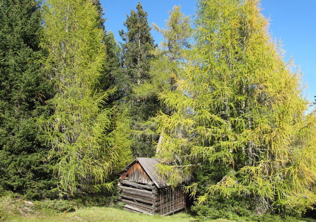 Photo of Outdoor in Jerzens