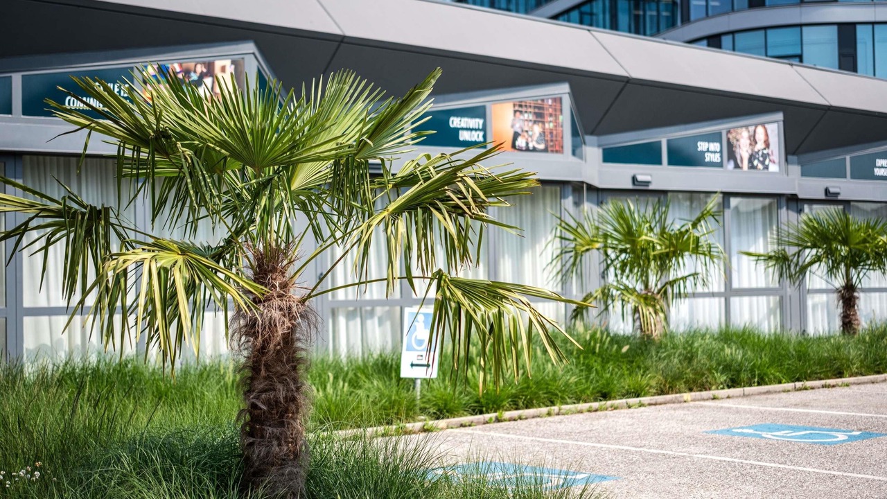 Photo of Outdoor in Waldegg