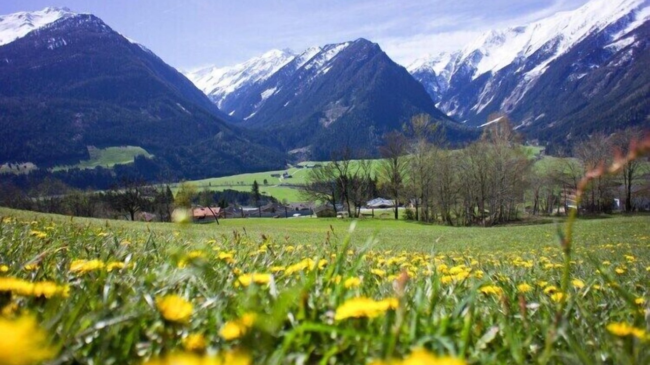 Photo of Others in Schonbach