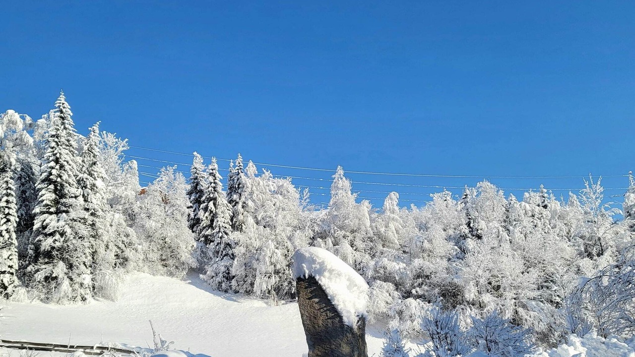 Photo of Outdoor in Schonbach