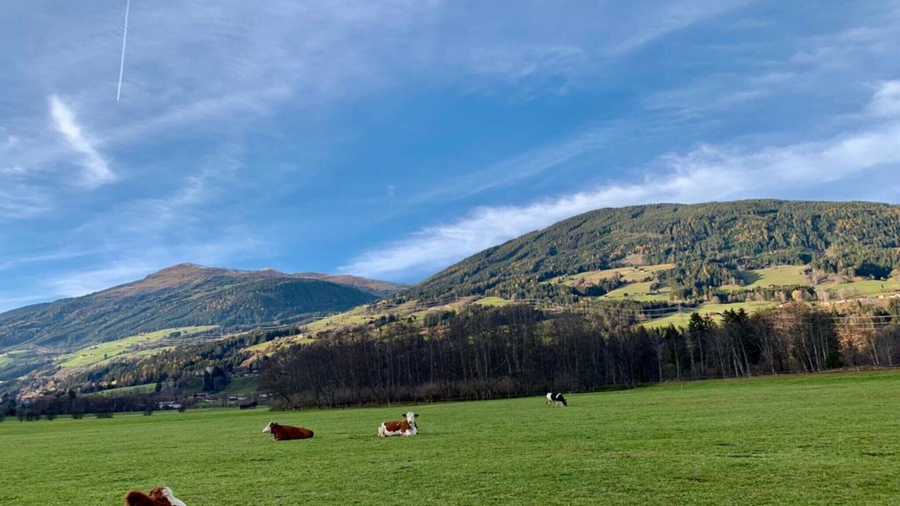 Photo of Others in Schonbach