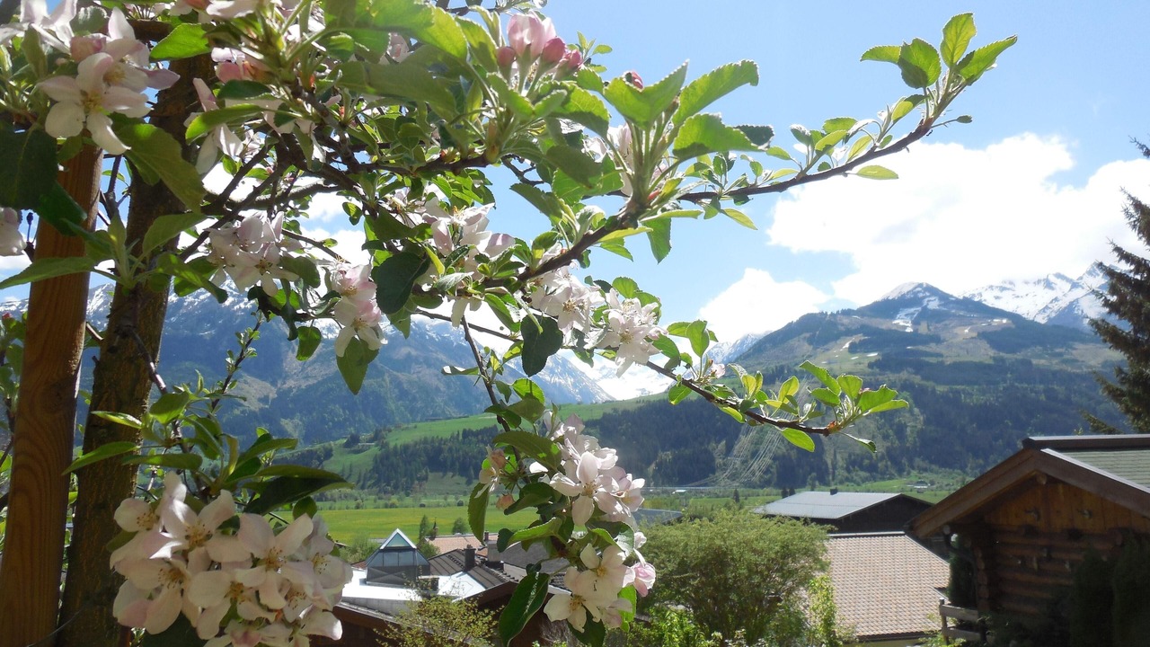 Photo of Outdoor in Furth