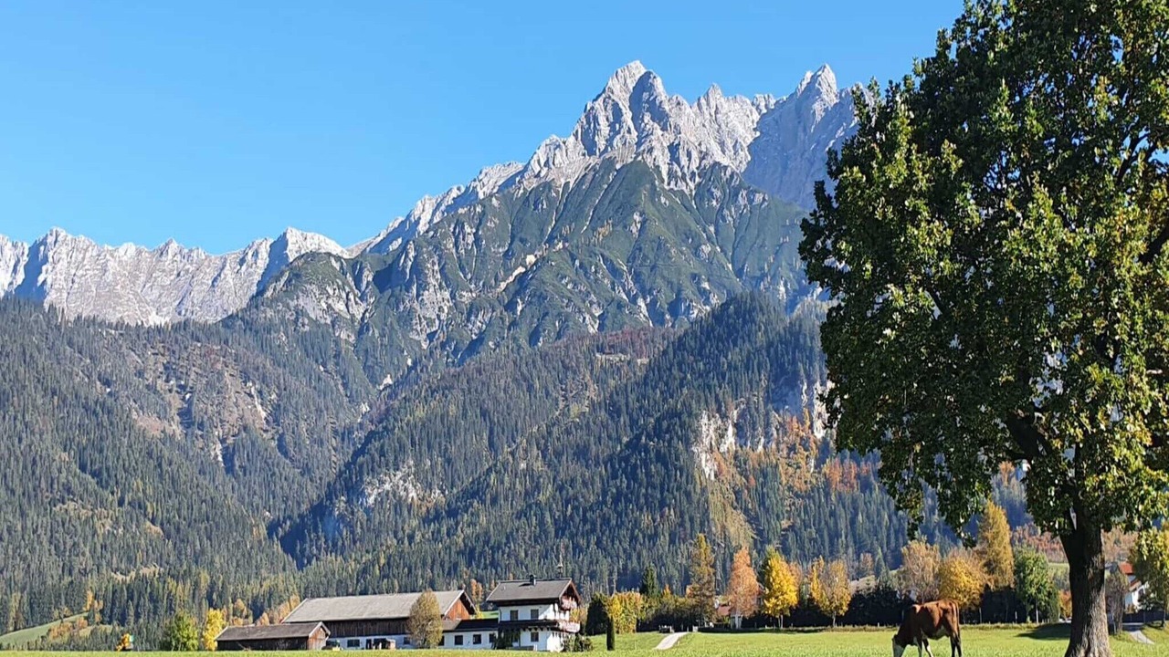 Photo of Outdoor in Saalfelden am Steinernen Meer