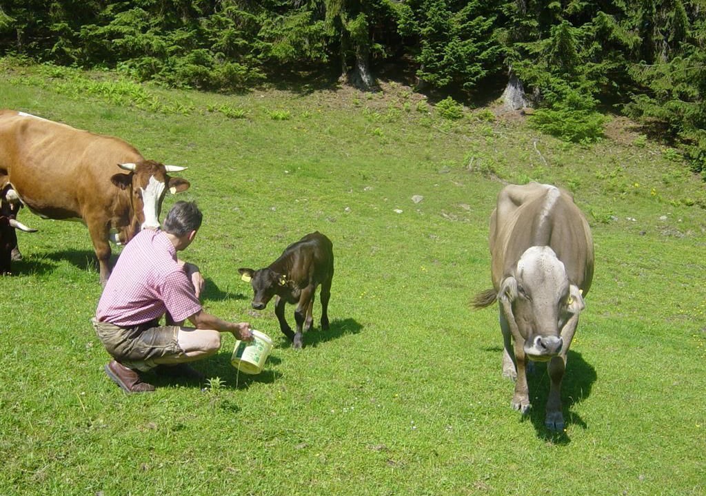 Photo of Others in Spital am Pyhrn