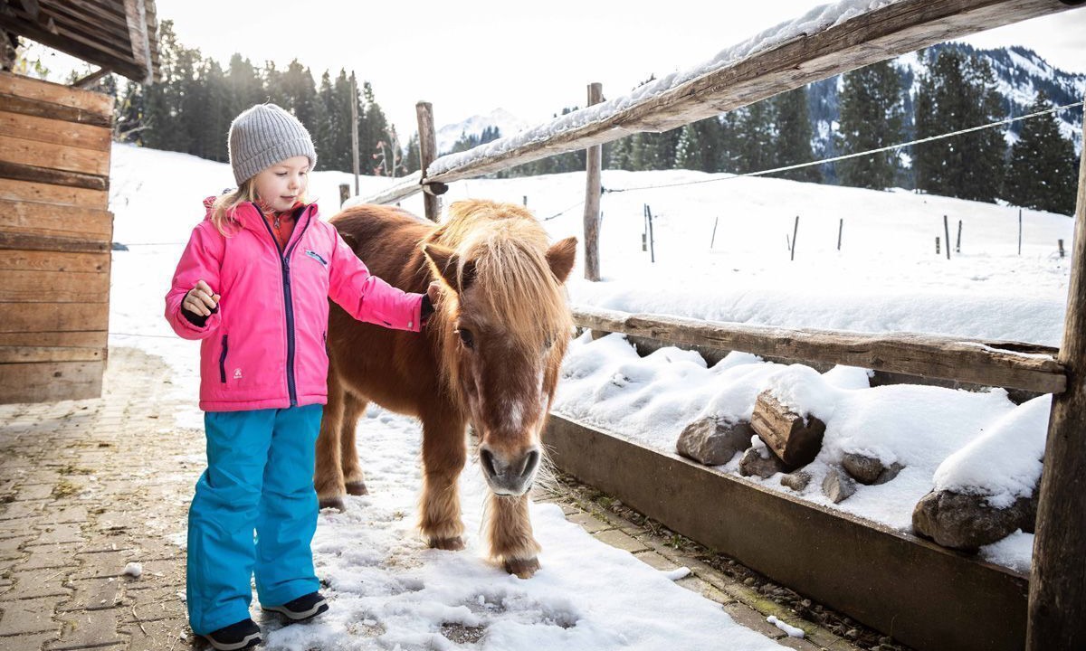 Photo of Others in Mittelberg