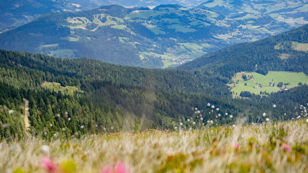 Photo of Others in Sankt Lorenzen ob Murau