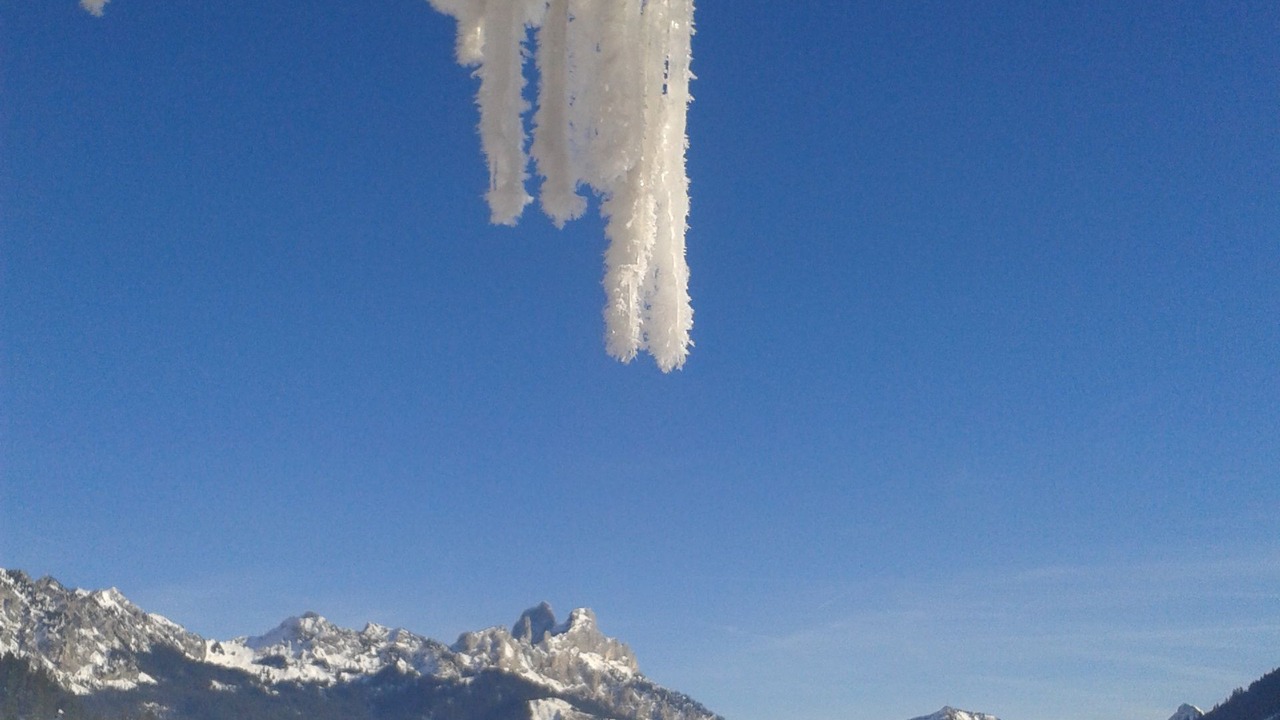 Photo of Others in Tannheim