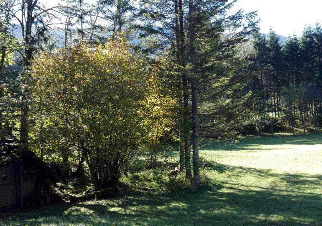 Photo of Outdoor in Hinterstoder