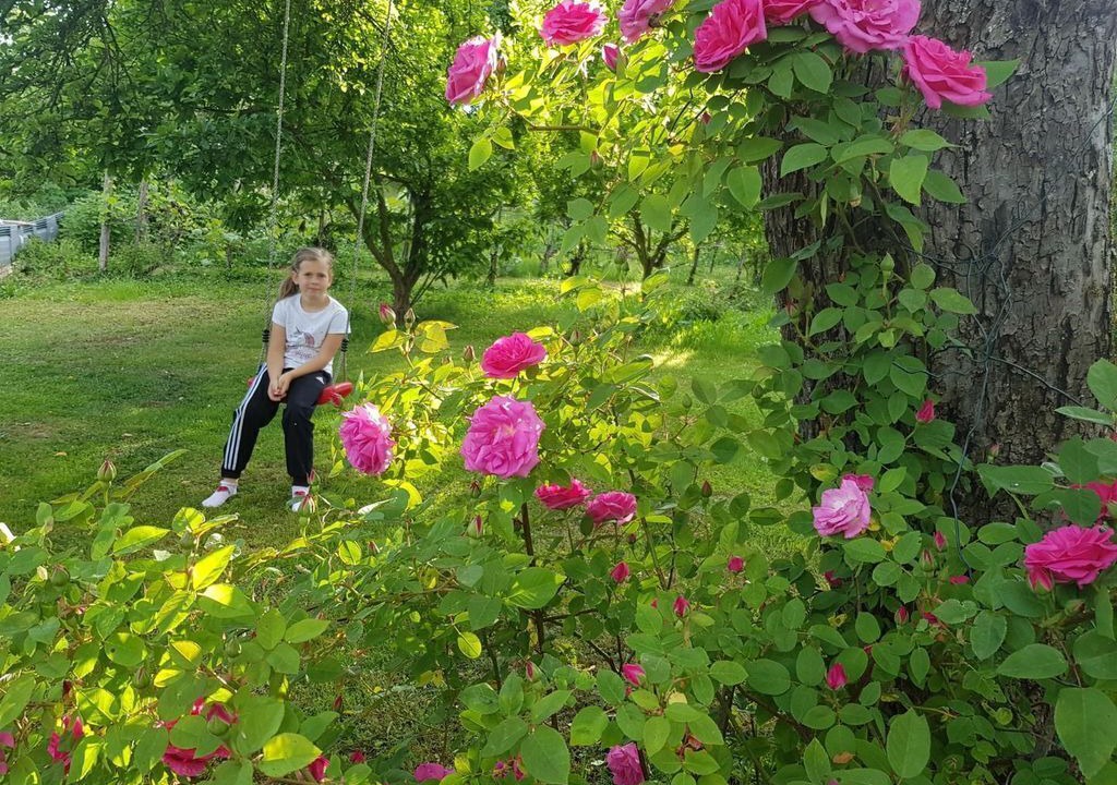 Photo of Outdoor in Harrachberg