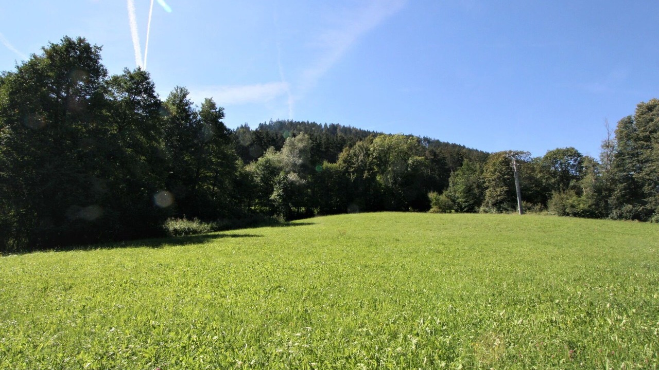 Photo of Others in Wilten