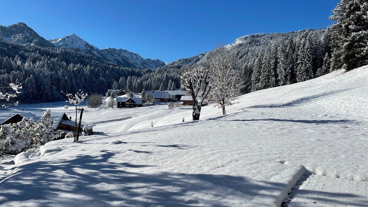 Photo of Others in Riezlern