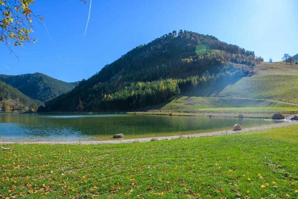 Photo of Others in Puchberg Am Schneeberg