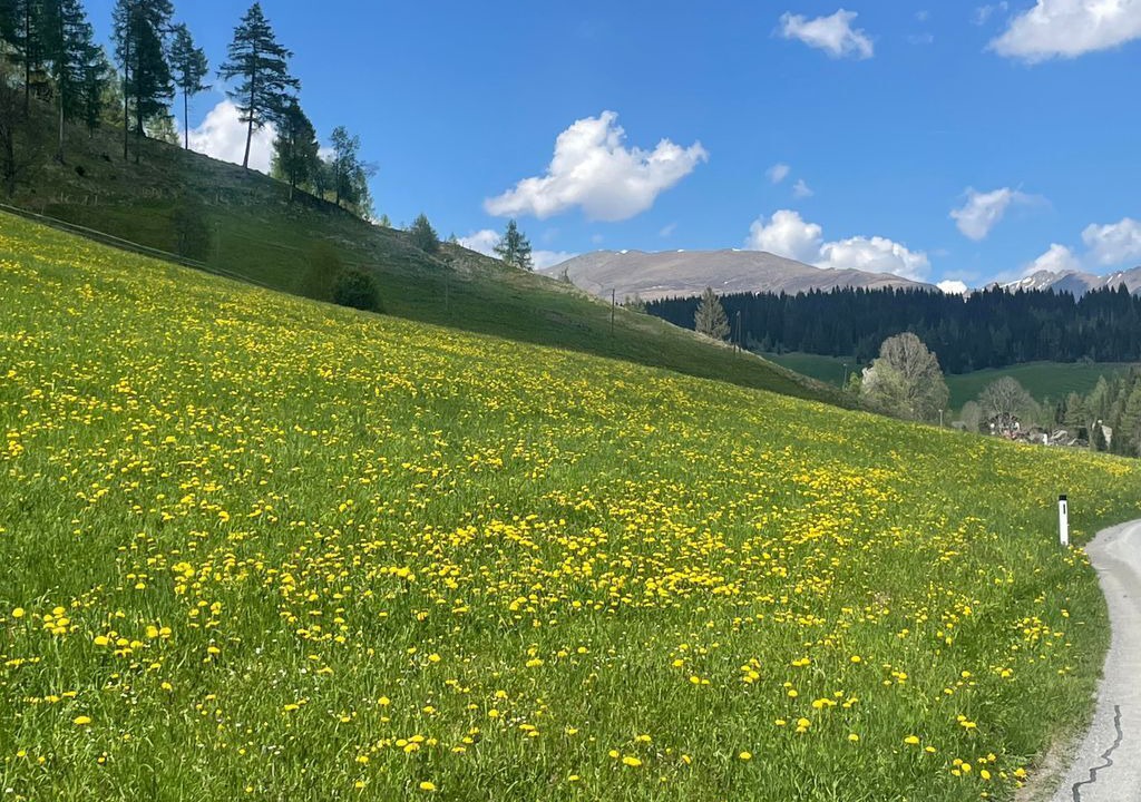 Photo of Others in Sankt Ruprecht ob Murau