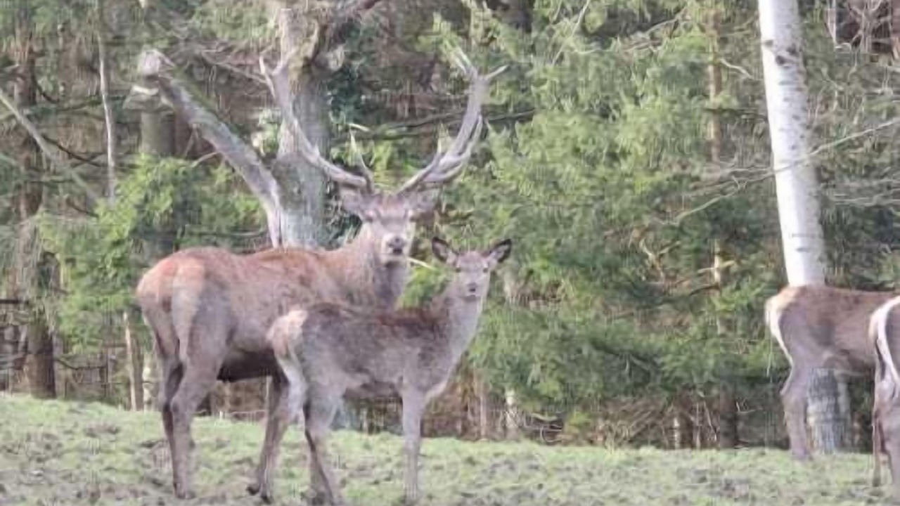 Photo of Outdoor in Purgstall an der Erlauf