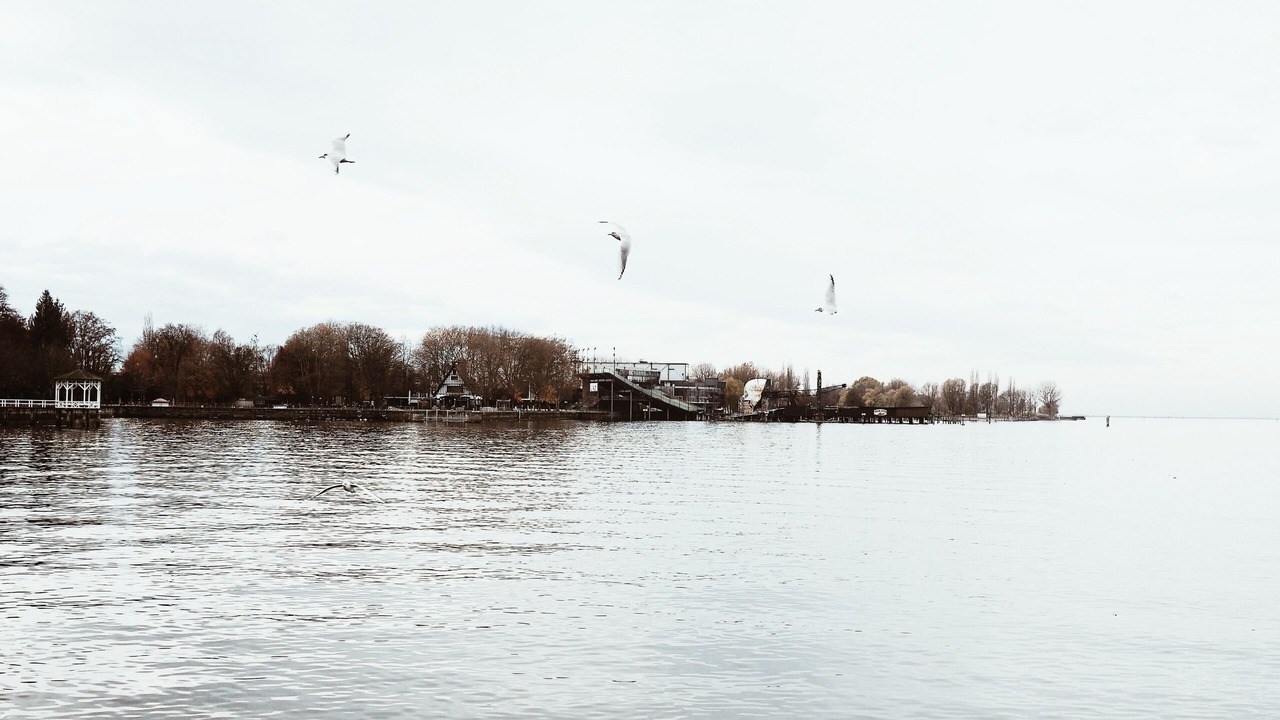 Photo of Others in Bregenz