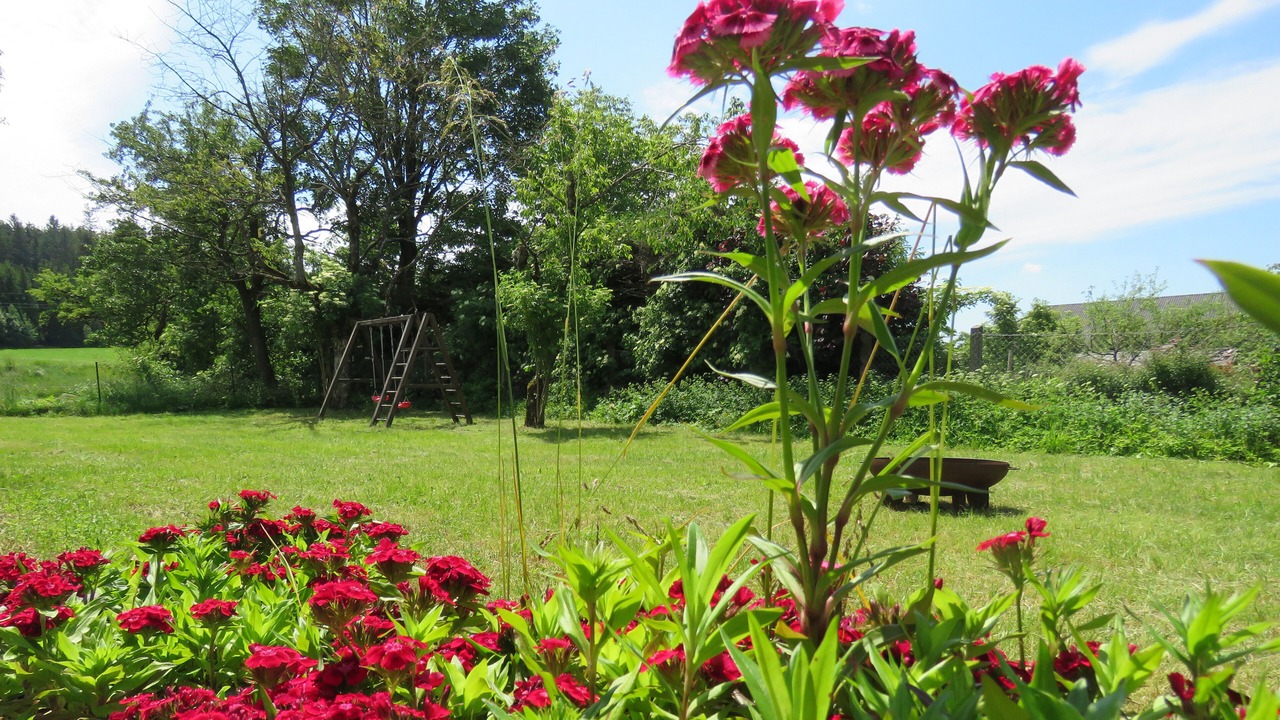 Photo of Outdoor in Klaffer am Hochficht