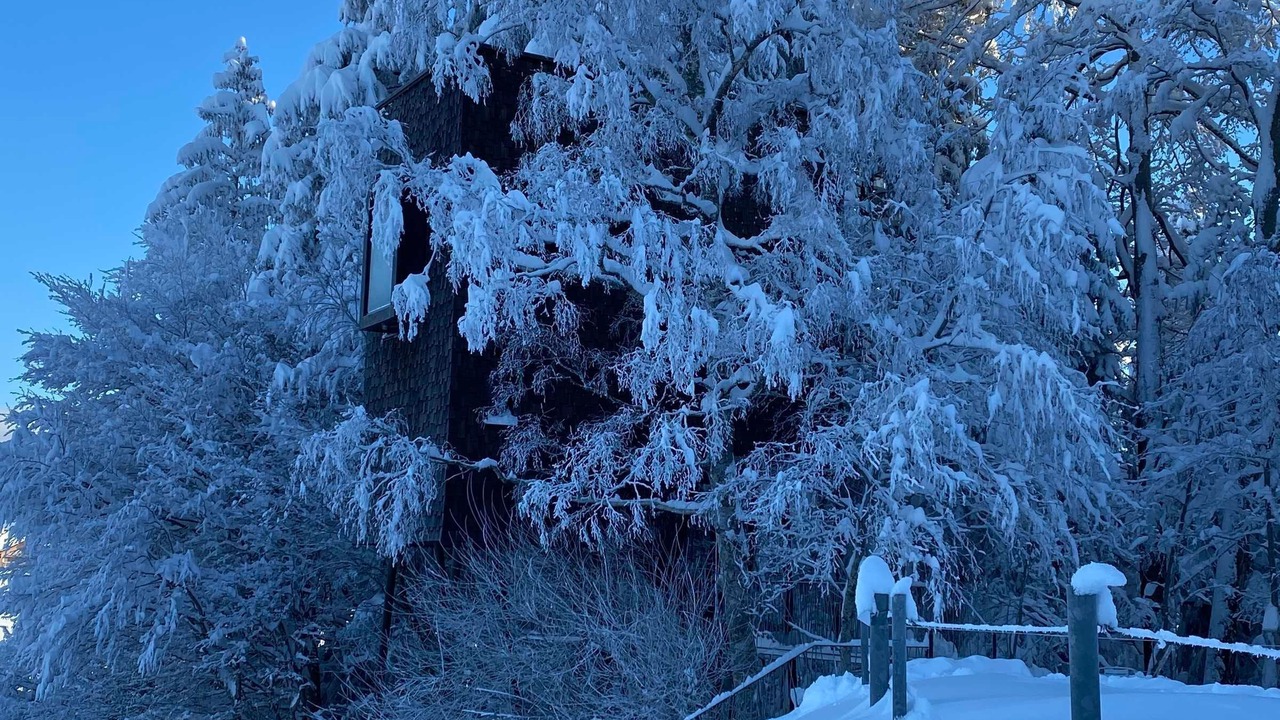 Photo of Outdoor in Sulzberg
