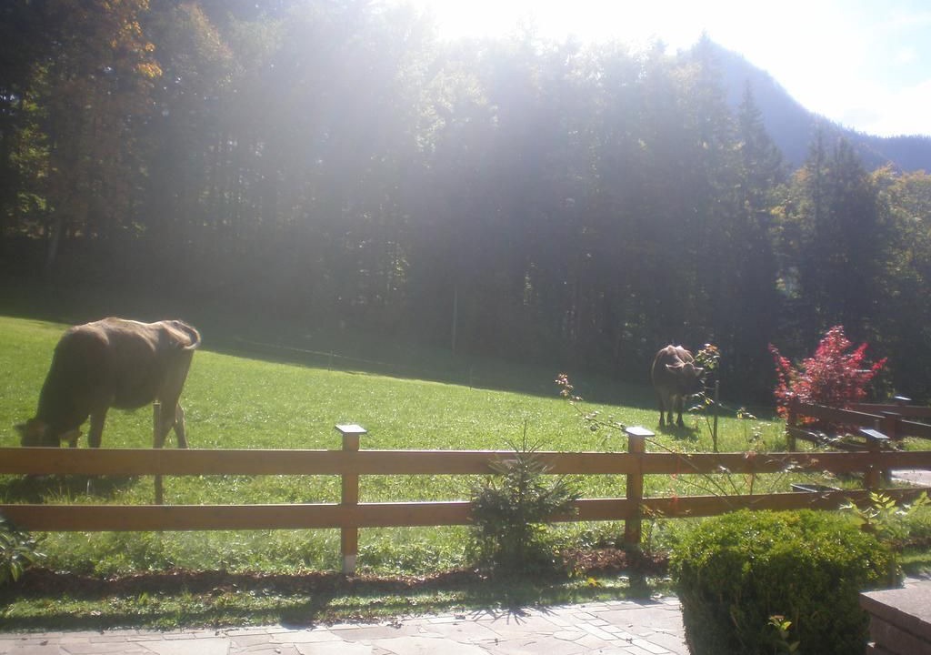Photo of Outdoor in Hinterstoder