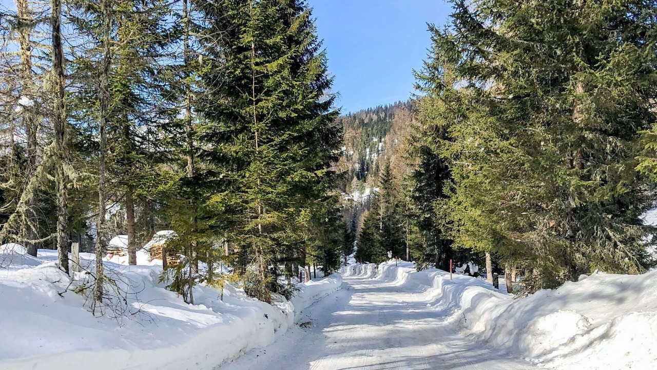 Photo of Others in Hochrindl