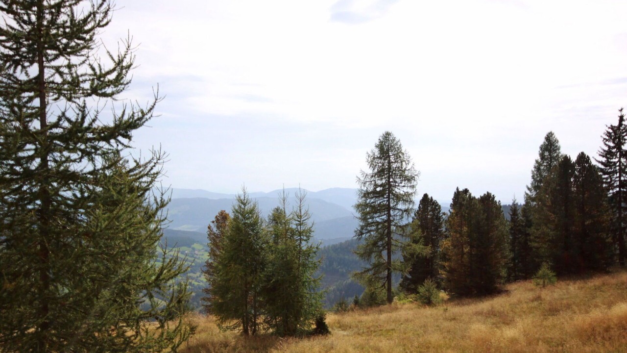 Photo of Others in Hochrindl