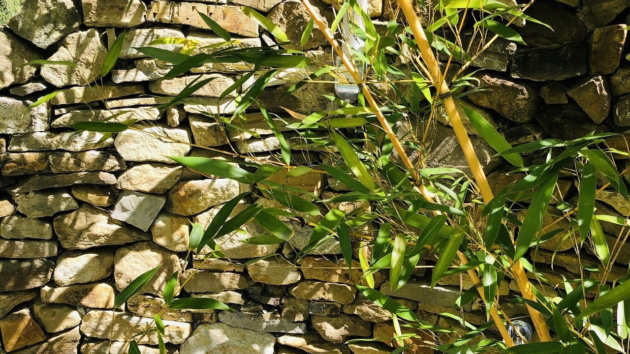 Photo of Outdoor in Irenental