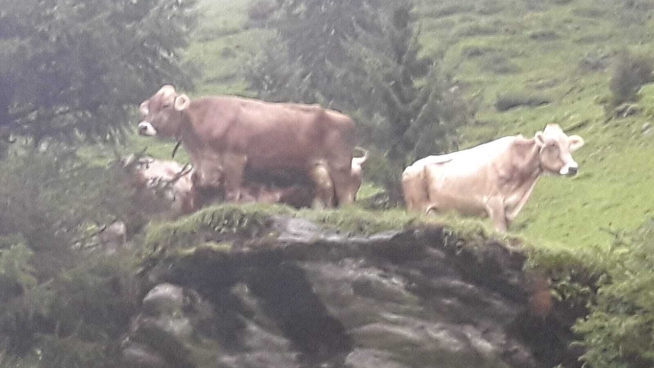 Photo of Outdoor in Mayrhofen