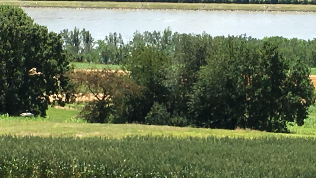 Photo of Others in Leiben