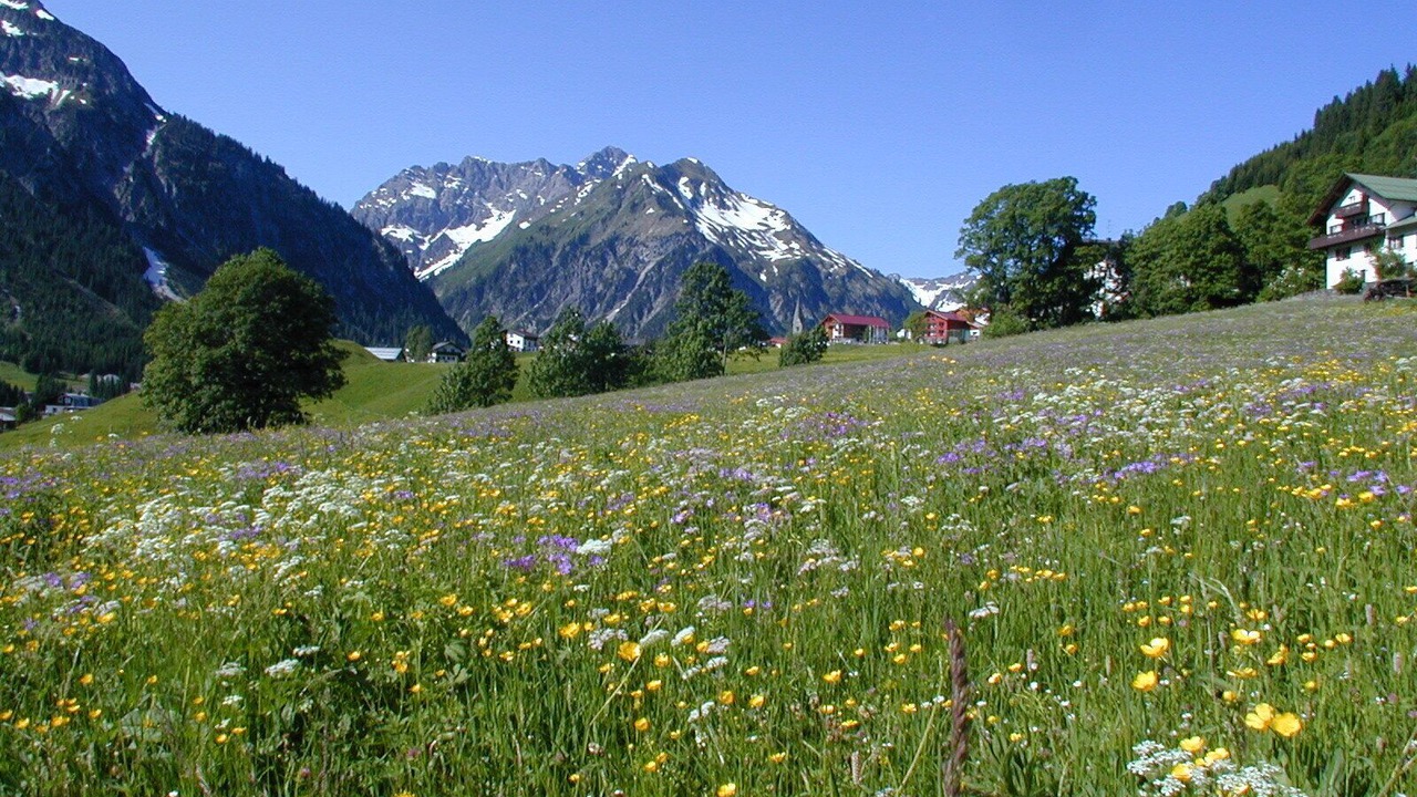 Photo of Outdoor in Mittelberg