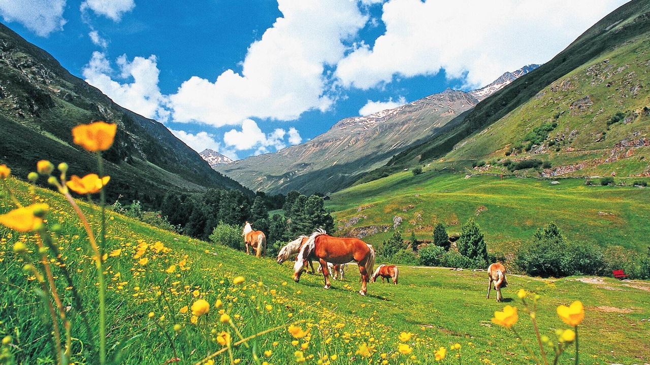 Photo of Others in Huben