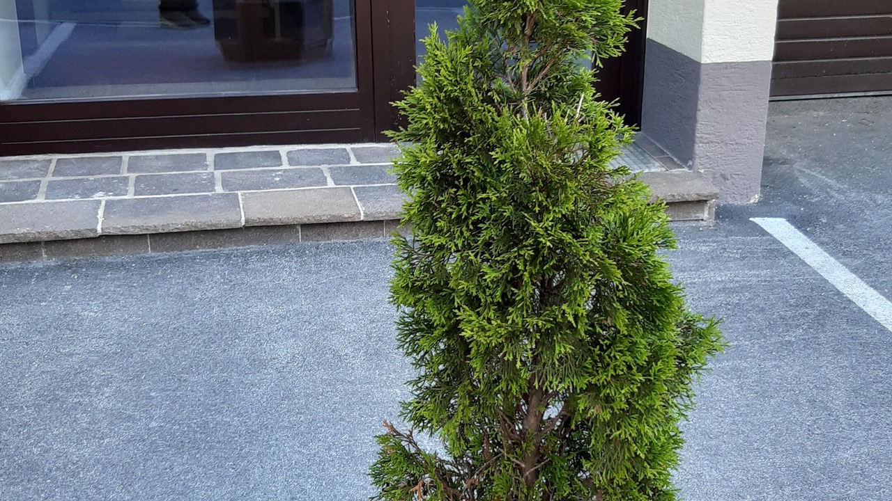 Photo of Outdoor in Maishofen
