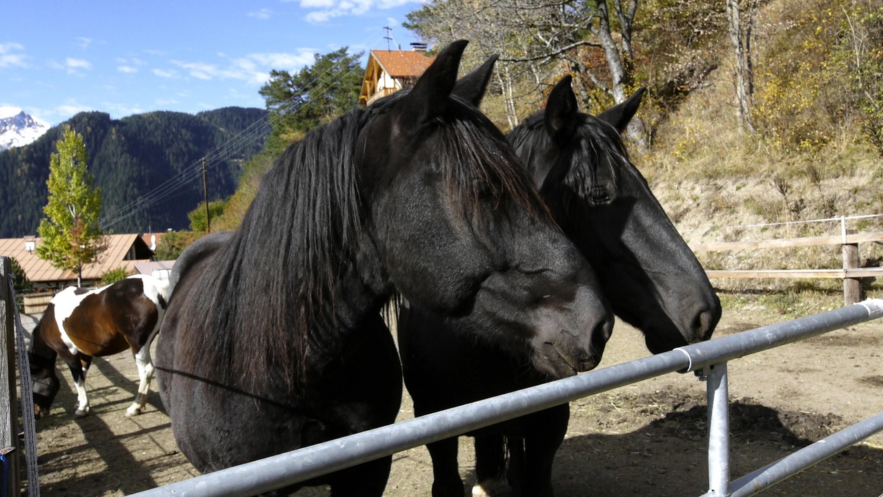 Photo of Others in Tobadill