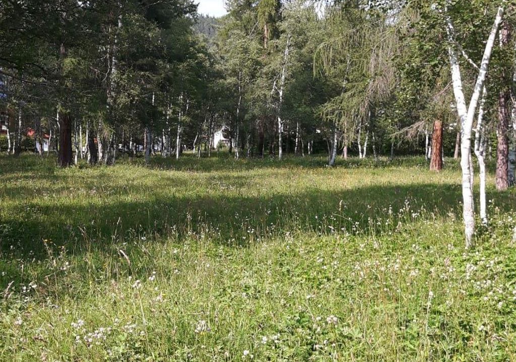 Photo of Others in Seefeld in Tirol