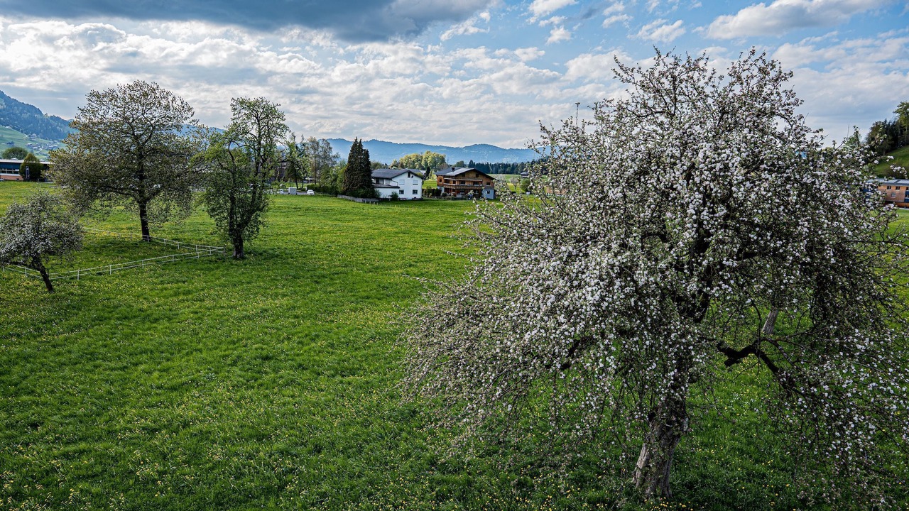 Photo of Others in Lingenau