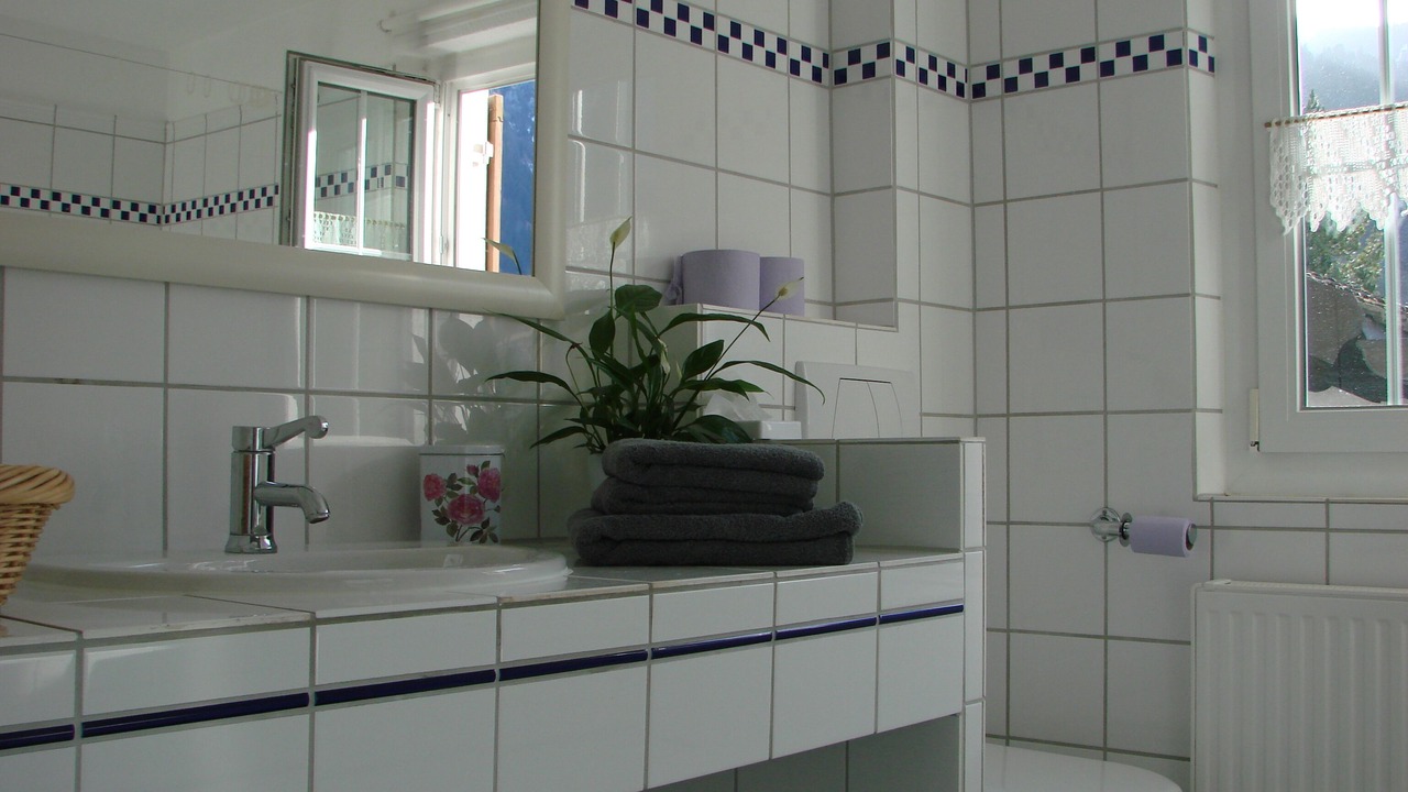 Photo of Bathroom in Vandans