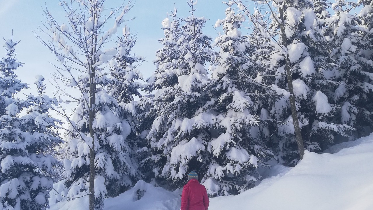 Photo of Others in Kirchdorf in Tirol