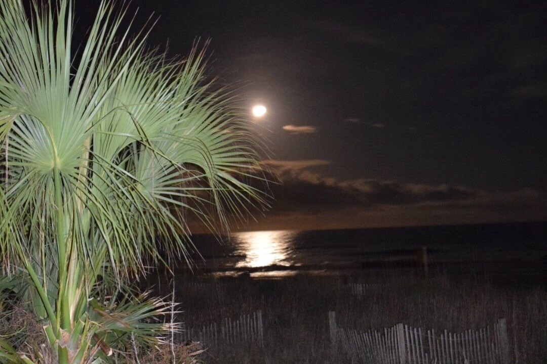Photo of Outdoor in Surfside Beach
