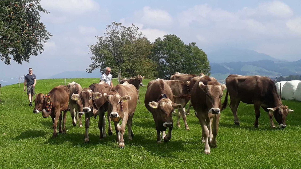 Photo of Others in Alberschwende