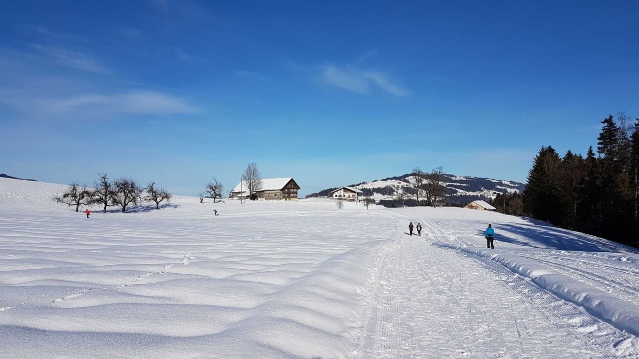 Photo of Others in Alberschwende