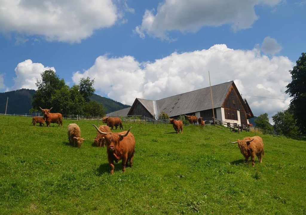 Photo of Others in Vorderstoder