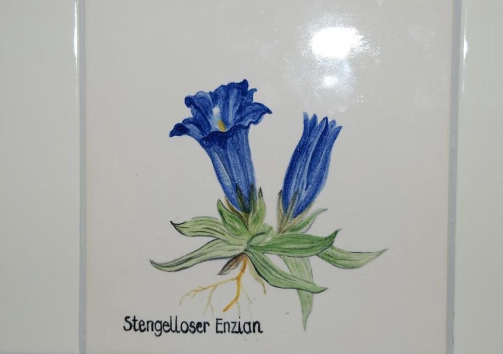 Photo of Others in Vorderstoder
