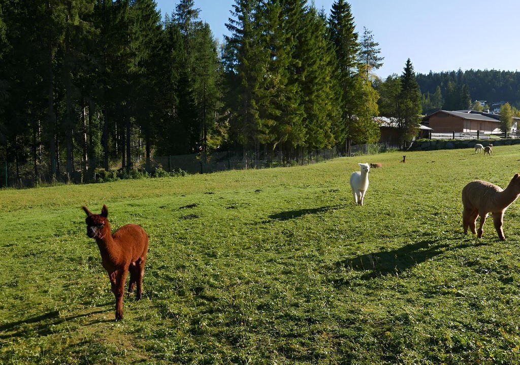 Photo of Others in Seefeld Pedestrian Zone