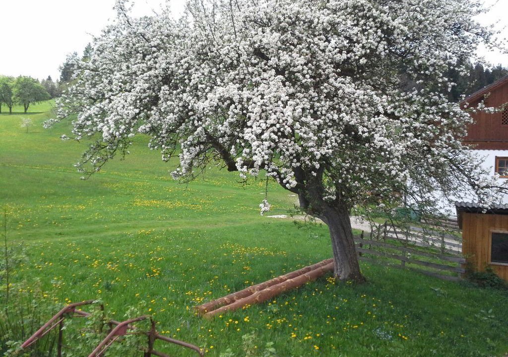 Photo of Outdoor in Rossleithen