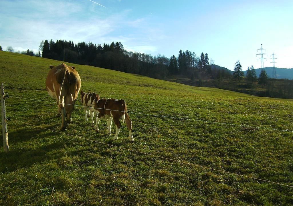 Photo of Others in Maria Alm am Steinernen Meer