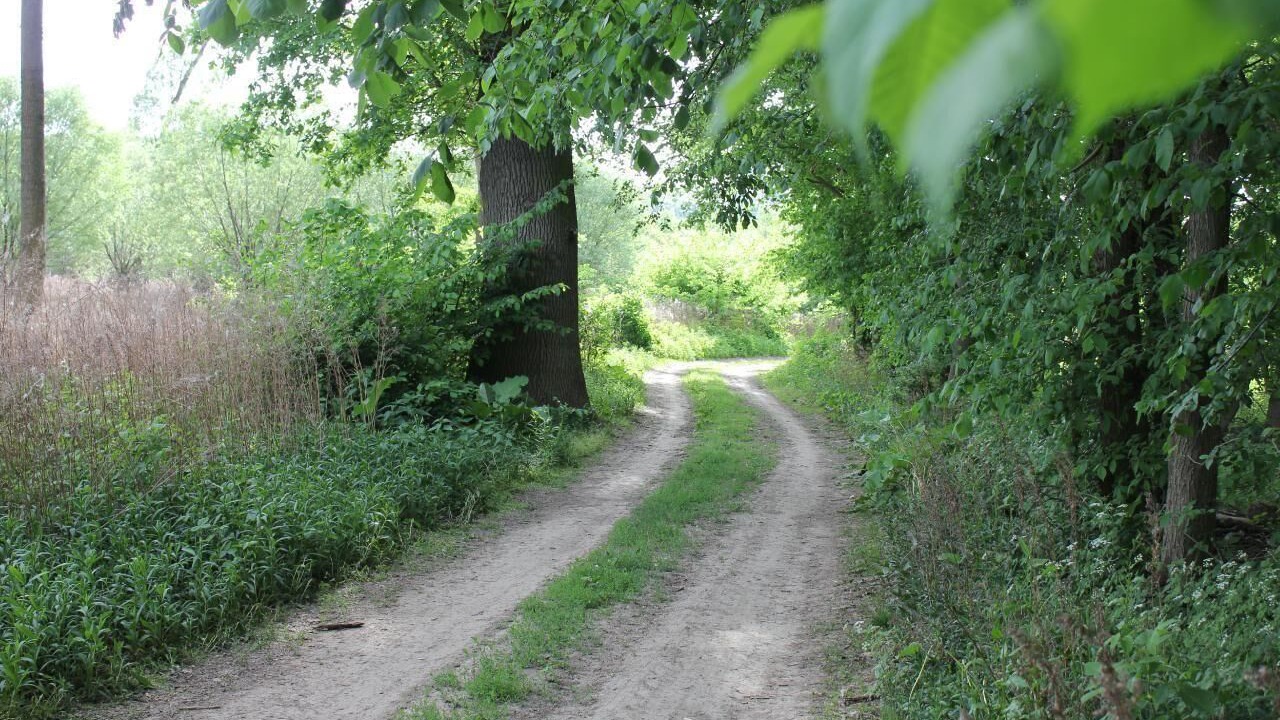 Photo of Outdoor in Grub an der March