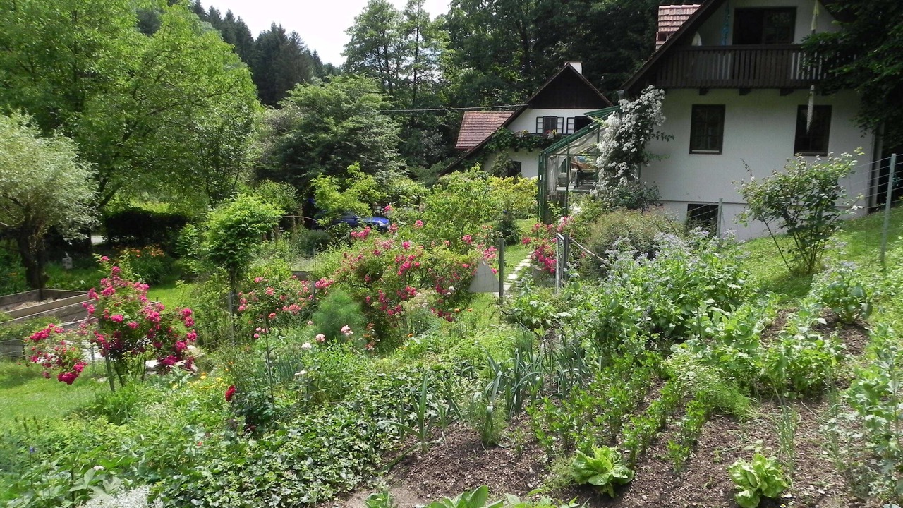Photo of Outdoor in St Andra-Hoech