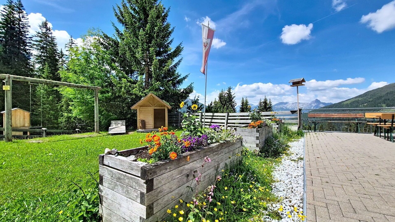 Photo of Outdoor in Navis