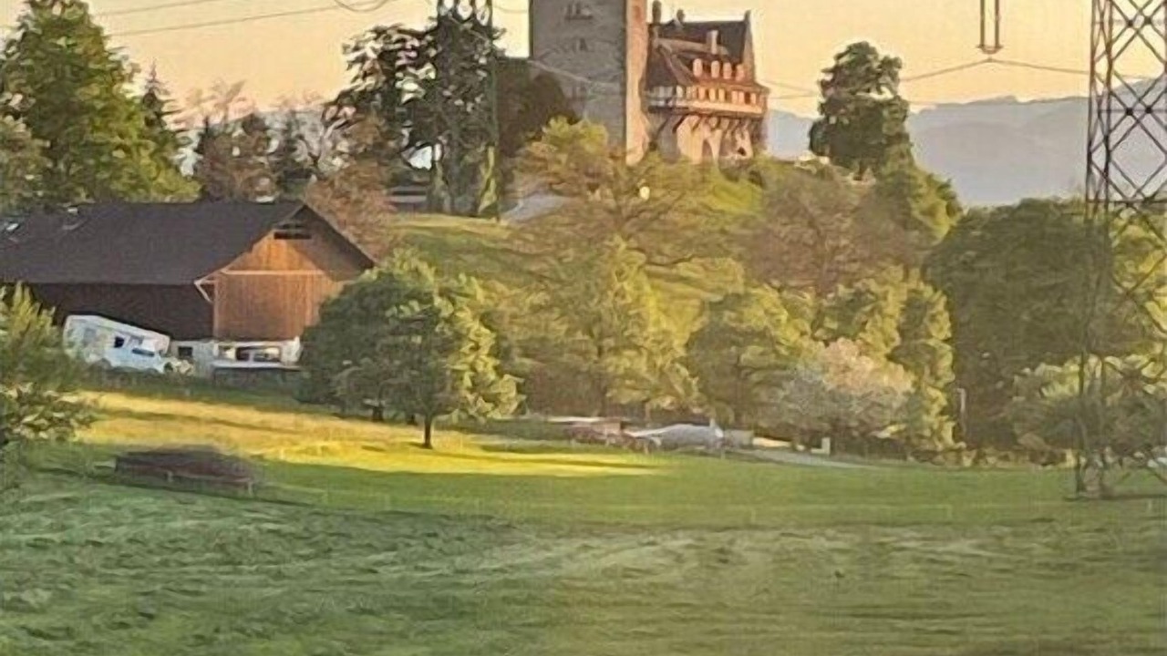 Photo of Others in Wolfurt
